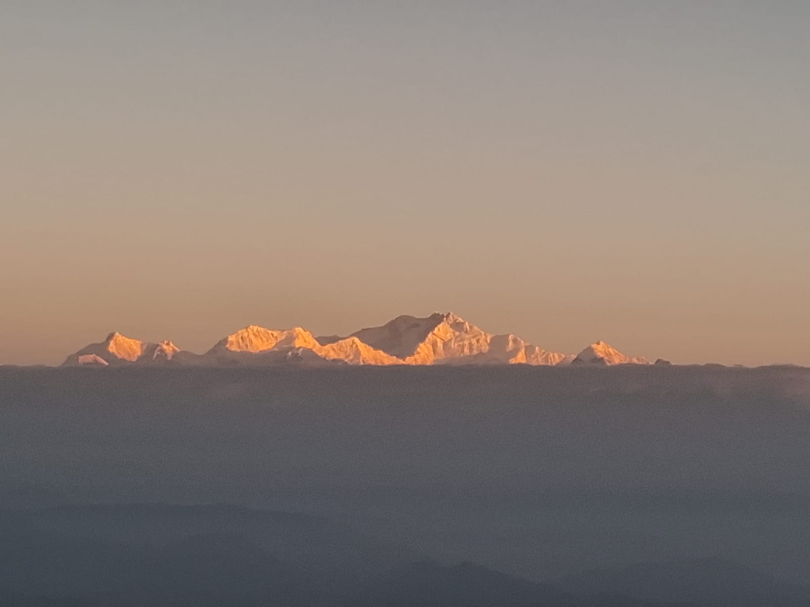 The Kangchenjunga range lit orange by the first light of sunrise, above a sea of cloud