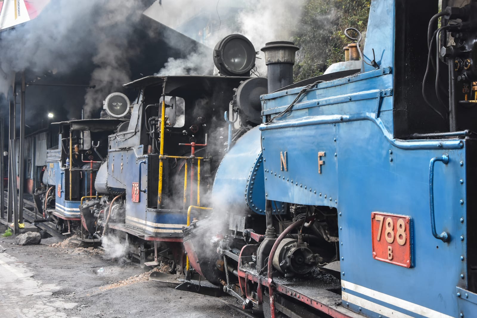 Blue narrow-gauge steam locomotives of the Darjeeling Himalayan Railway raising steam in their shed