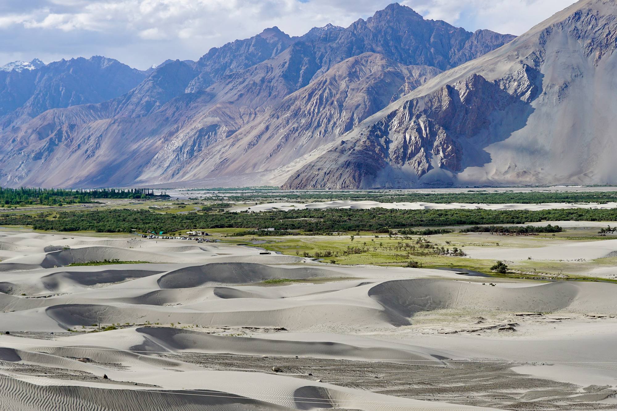 Sand dunes and poplars on the floor of the Nubra Valley in Ladakh, below bare mountain walls