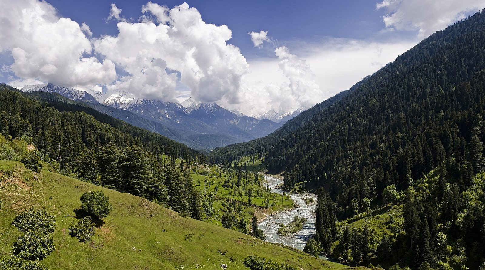 A river running through the pine-covered Pahalgam valley below Kashmir's snow peaks