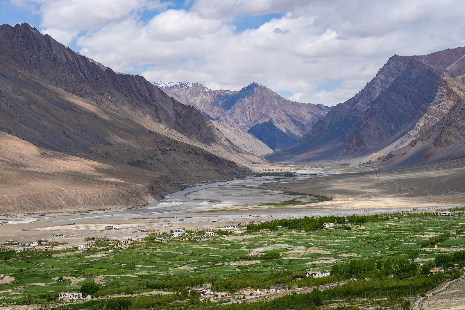 Green barley fields beside the Zanskar river, ringed by the bare mountains of Ladakh